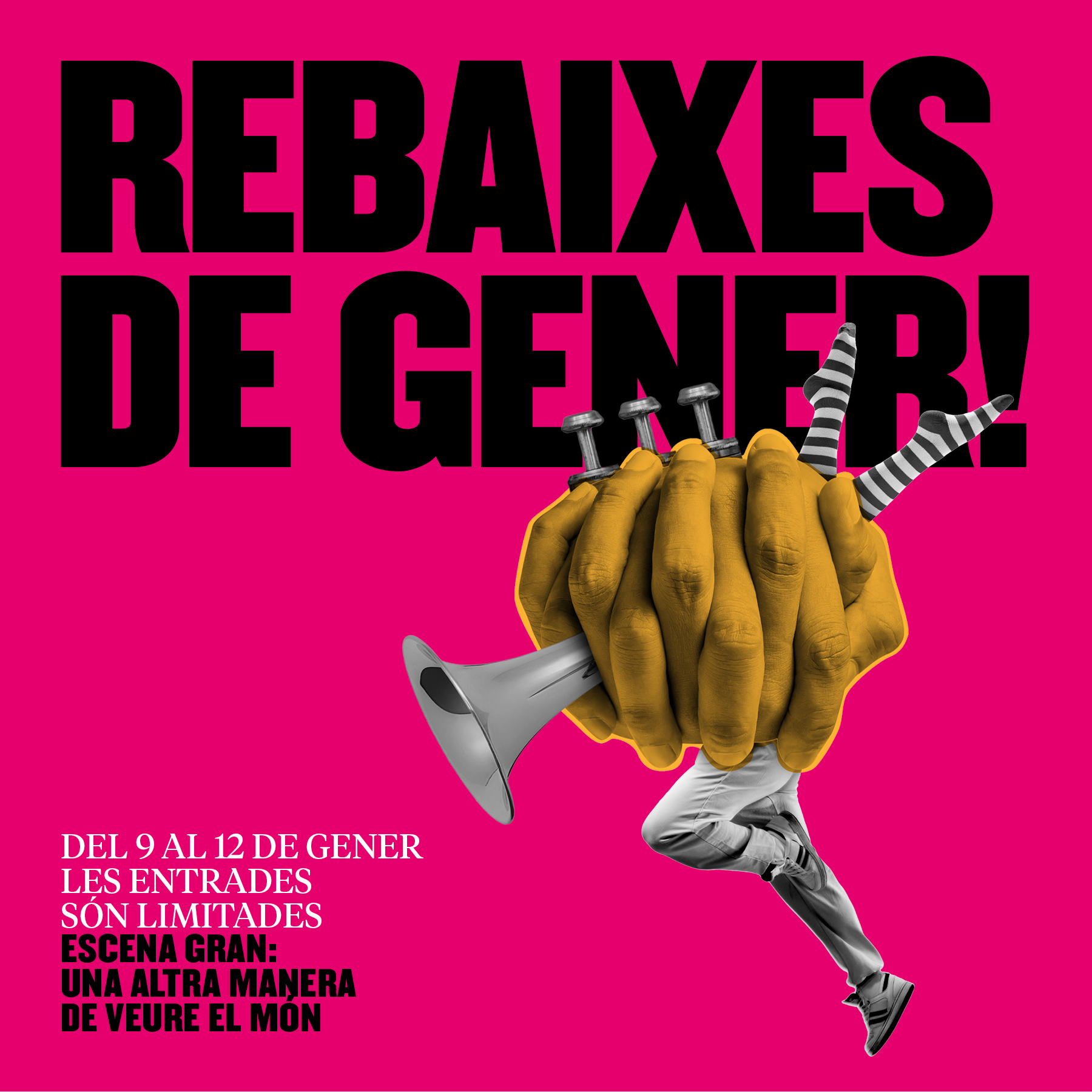 Rebaixes gener