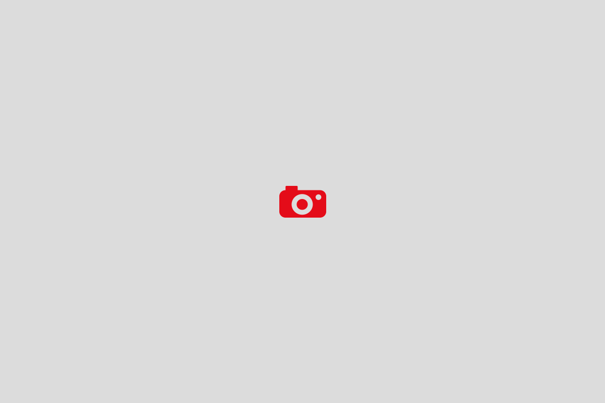 Banner2